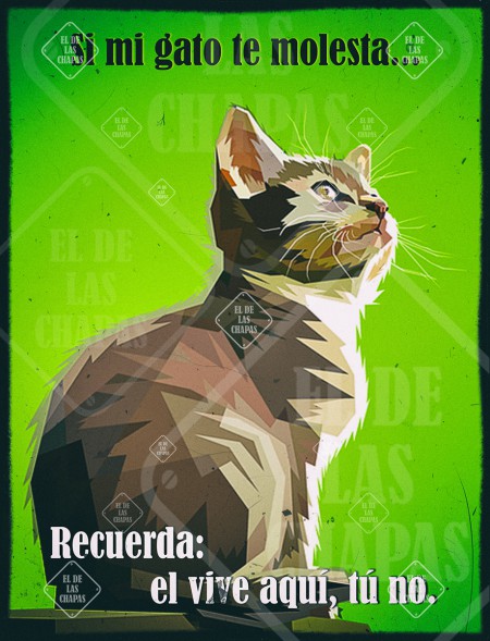 Si mi gato te molesta...