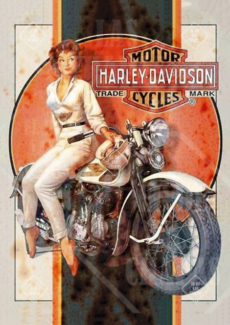 Harley Davidson (Pinup)