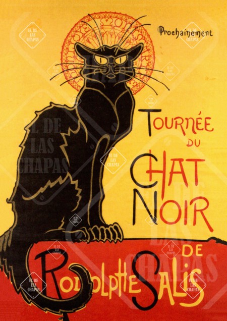 Chat Noir